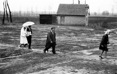 LOT 12x, strange wedding on rainy day, unusual, countryside, vintage fine art