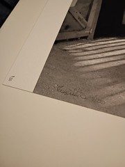 Elliot Erwitt Black And White Print