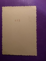 Photo old antique elegant suit man woman on front door woman man nice dog old photo
