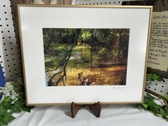 Jerry Jernigan Photography Framed And Matted “ Tranquility “ Creek With Ducks