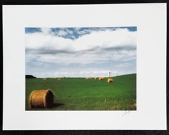 Fine Art Photography Color Image WI Farmland 11 X 8 1/2 in Signed