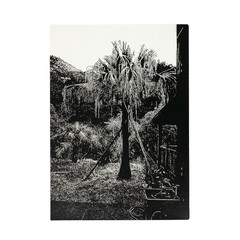 Daido Moriyama Uwajima Signed 2022 New Photo Book Limited 350 Japan Photography