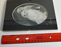Vintage Artist Signed Snow Owl Portrait Framed 5×7”