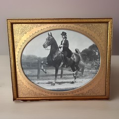 VTG Jay A. McClasky Fox Hunt Horse Saddlebred ~Copper Frame~Photograph /Signed
