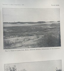 1898 Cape Cod Photograph Antique Print Set Of 2, 5.5” X 9” Each