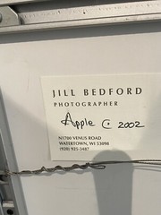 Jill Bedford Photography: Apple (2002), Signed, Archival Quality 28in X 22in