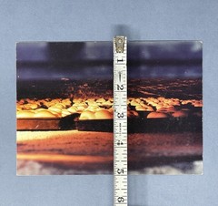 Orit Raff (b. 1970) Art Announcement Card 2005 – Insatiable