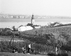 view at Kahlenbergerdorf (Vienna, Donau) by Eduard PEZDIKA, vintage fine art ne