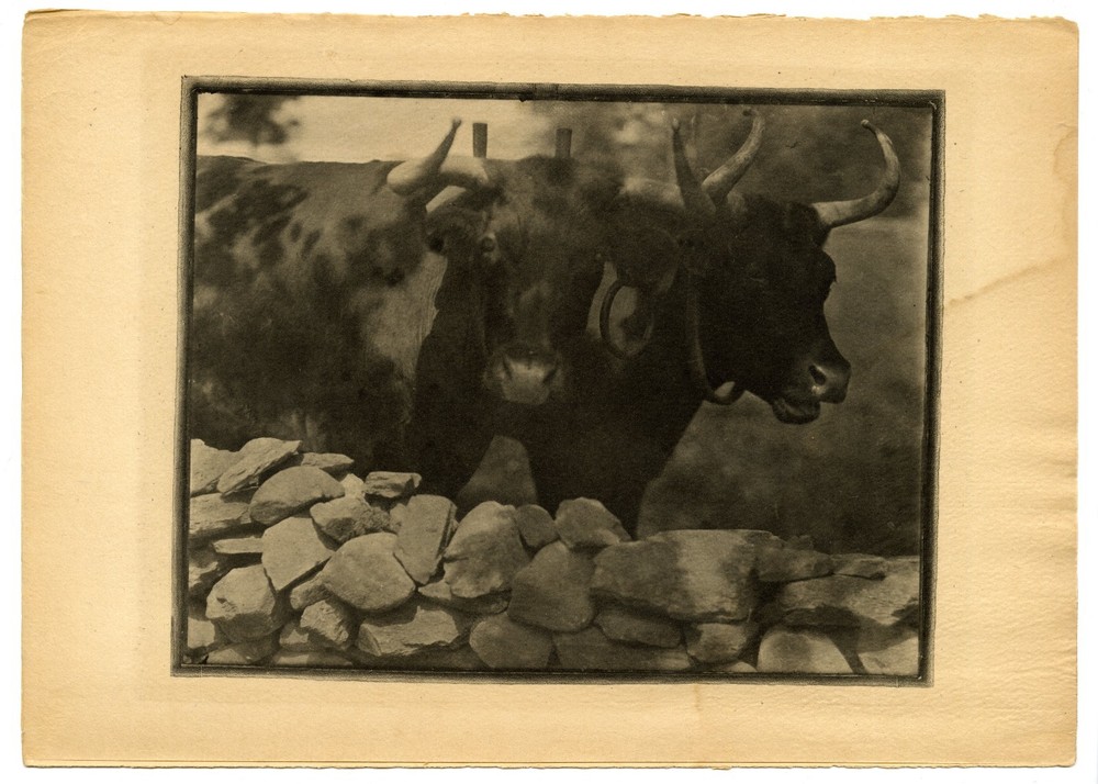 Gertrude Käsebier, «My Neighbors» April 1905 Original Camera Work X Photogravure