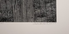 Large Format Black & White Photo Primal Manifestation #11 by Charles Fendrock