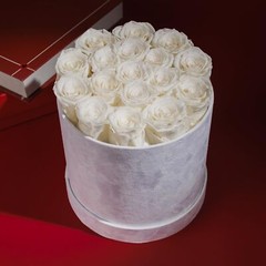 17 Flowers in a Luxury Suede Box, Birthday Gifts for Women, Preserved Flowers…