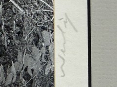 Bob Werling Signed #3 Lake Tahoe Black & White Framed Decorative Edition Print