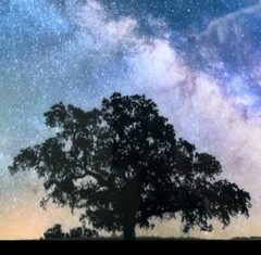 Milky Way Galaxy, 21×16”