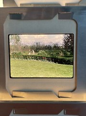Lot Of 35 1964 Winter Flowers Lake Life Vacation Amateur 35mm Color Slides