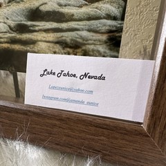 Amanda Eunice «Lake Tahoe, Nevada» Framed Color Landscape Photo Nature