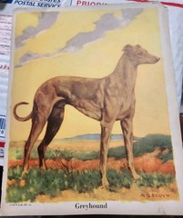 Vtg. Paper Ephemera Dog Themed