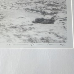 Signed Underwater Shark & Manta Ray Photographs Set, Matted, Landscape (3)