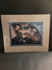 Nature Photography Titled Bells By Harry Bowden Framed Sealed