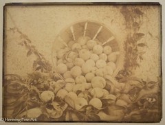 Beautiful Antique Albumen Print Photograph of Bushel of Apples, Lovely!