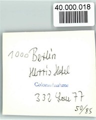40000018 – 1000 Berlin Mitte Hotel Herris International