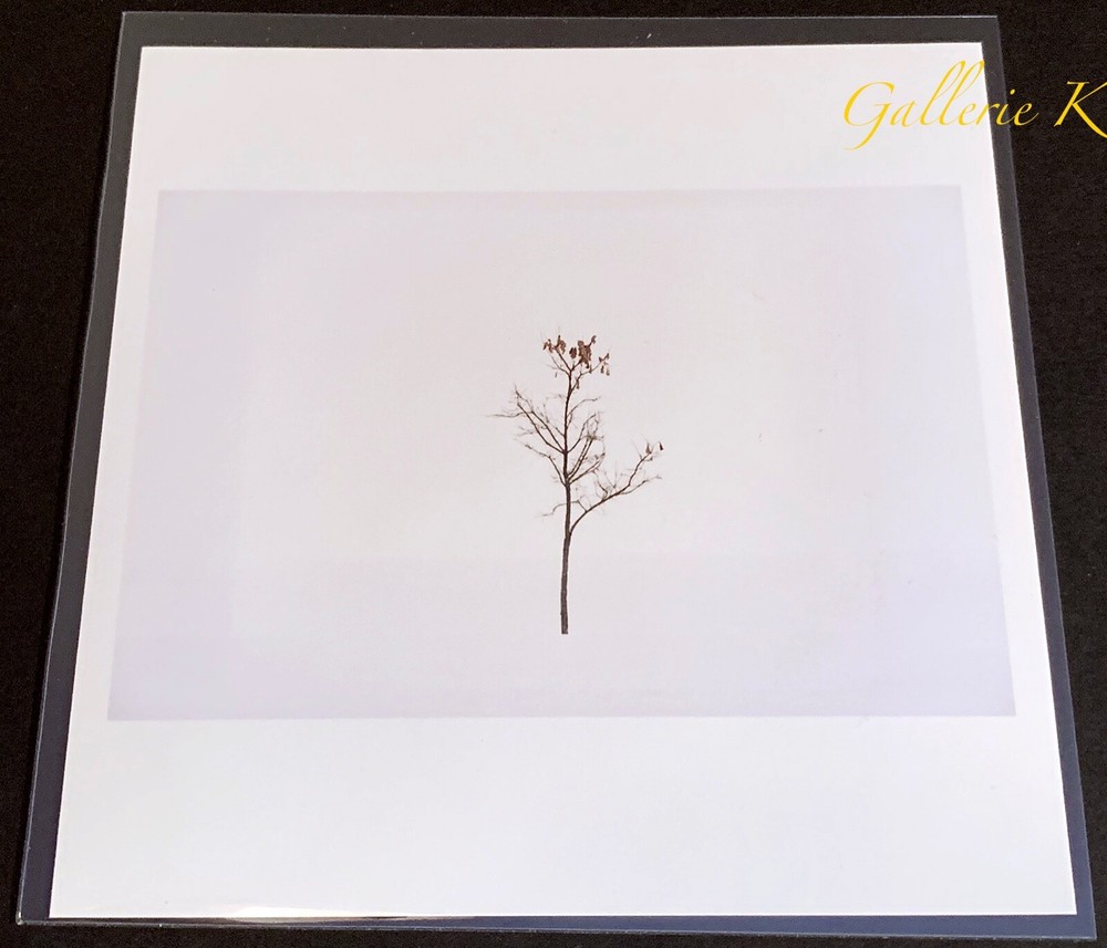 SIGNED! PETER VAN AGTMAEL DETROIT TREE IN SNOW 2017 MAGNUM 6×6 LTD ED PRINT NEW