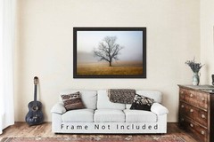 Great Smoky Mountains Photography Print: Tennessee Tree Fog Nature Smokies Photo