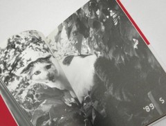 Nobuyoshi Araki Cat Chiro My Love Photo Book JAPAN