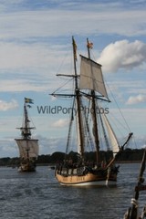 Tall Ships from Sultana Downrigging Festival, Pick One Image – Various Sizes
