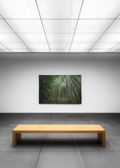 Arashiyama Bamboo Grove photo print