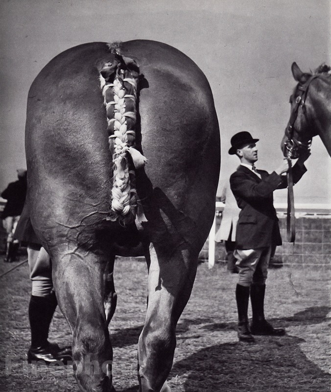 1959/68 Vintage BRASSAI Equestrian ROYAL SHOW Horse Fair England Photo Art 11×14