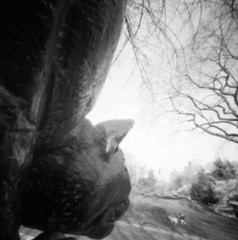Still Hunt Central Park NYC Pinhole B&W Photo Giclée Fine Art Print