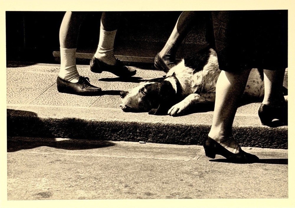 Elliott Erwitt Art Photo Print Card By Fotofolio – Honfleur, France, 1968