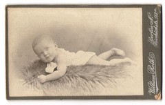 Photograph William Roth, Berlin, Friedrichstr. 113a, cute toddler on fur l