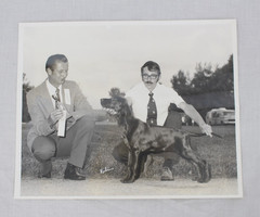 Vintage Dog Show Photograph Setter Signed Rubin 8×10 Award Ribbon 1970s Photo