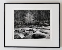 «Merced River» Original JOHN SEXTON Signed Photograph 11×14/ 16×20 Framed