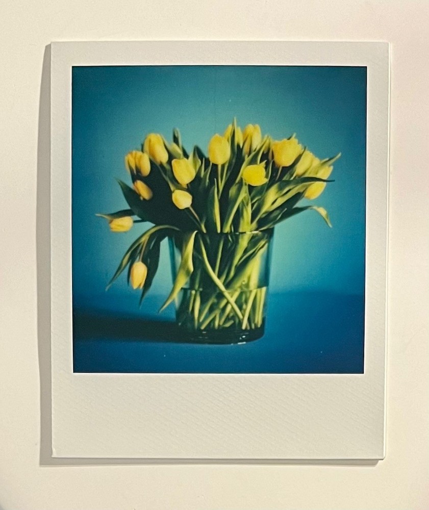1 x Polaroid, Limited Edition, Flowers, Photo, Photography, Instant Photo, Art