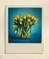 1 x Polaroid, Limited Edition, Flowers, Photo, Photography, Instant Photo, Art