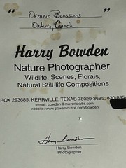 Harry Bowden Nature Photographer, Ontario Blossoms