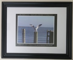 13×16 framed photo of Bird landing on Piling in Backyard across the Bay from LBI