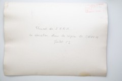 Vintage Indochina Military Group Photo 30x40CM Circa 1950