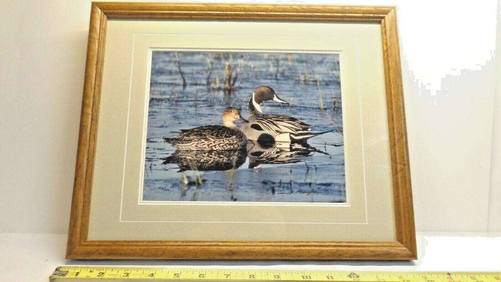 Thomas Mangelsen Signed Photo Print PINTAIL PAIR Limited Edition Framed Matted