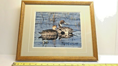 Thomas Mangelsen Signed Photo Print PINTAIL PAIR Limited Edition Framed Matted