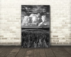 Black and white Iowa landscape photography print Midwest farmland wall art photo