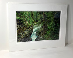 Fine Art Photograph Forest of Dreams Canadian Rockies Landscape Signed & Matted