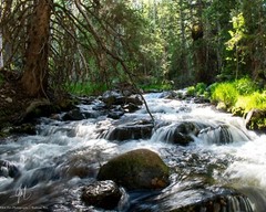 Great Basin National Park Nevada USA 16×20 Archival Pigment Photo Print Poster
