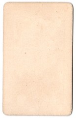 Photograph lithograph F. Rau jr., Frankfurt, view Frankfurt / Main, view