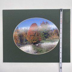 Matted Landscape Photo Print 11 X 14 Wall Art Gallery Decor
