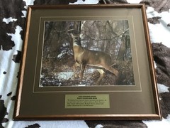 Vintage Wild Kingdom Series White‑Tailed Deer Buck – Large Framed Wildlife Print