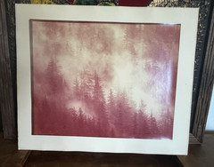 Thomas D. Mangelsen 1977 Vintage Signed Photo Print – Misty Forest Landscape 37/