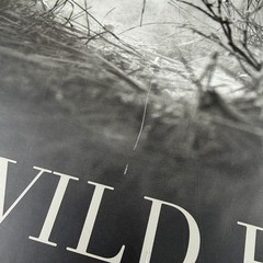 David Yarrow Wild Encounters Signed Book Rizzoli Artist Proof AP Clamshell Box